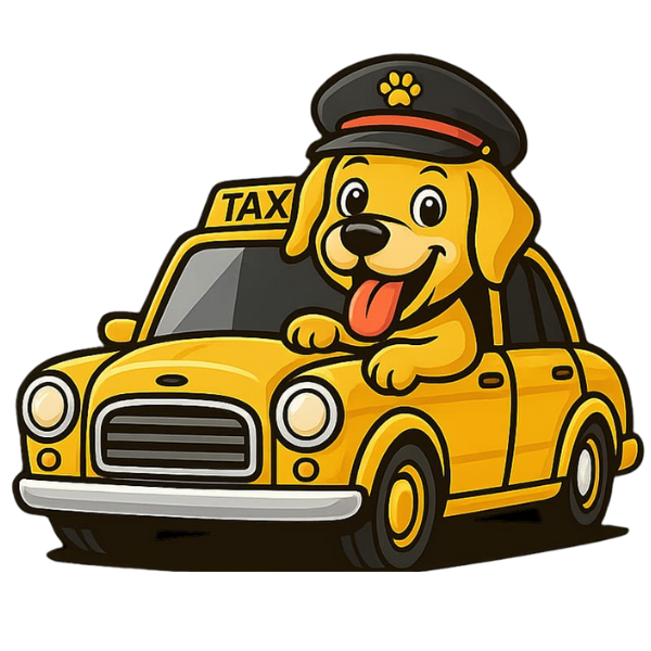 trasporto animali domestici